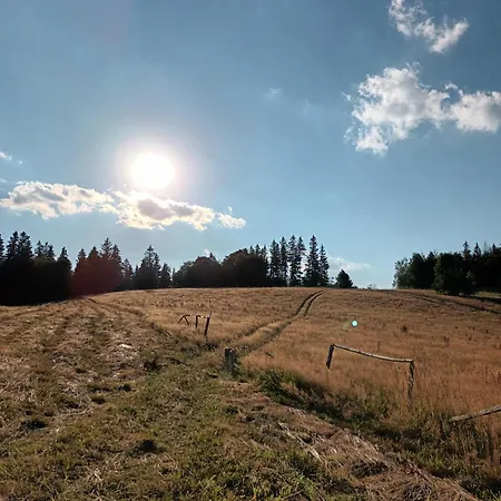 Apartament Kulibaba