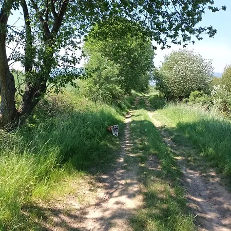 Kulibaba * Bystrzyca Kłodzka