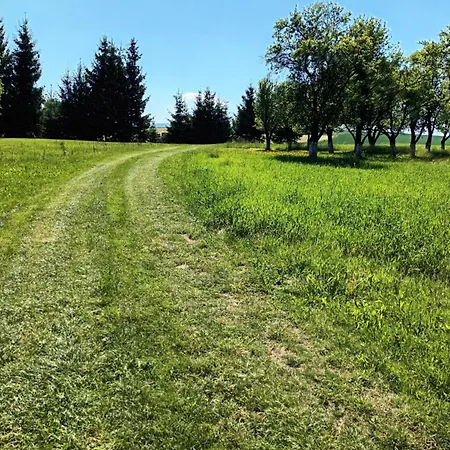 Kulibaba Appartamento