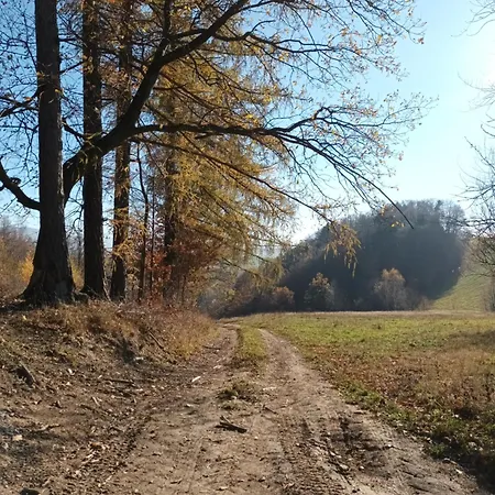 Kulibaba * Bystrzyca Kłodzka