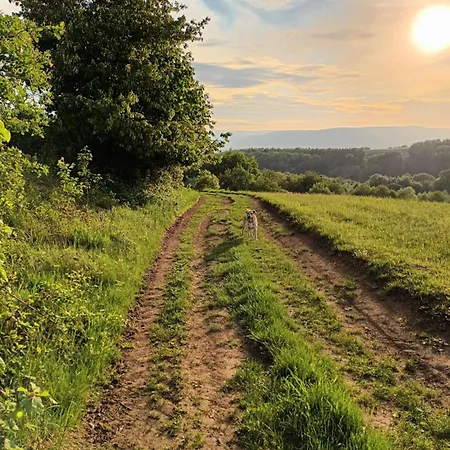 Kulibaba Bystrzyca Kłodzka
