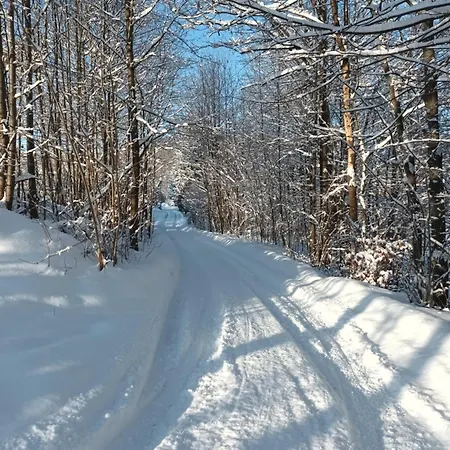 Kulibaba * Bystrzyca Kłodzka