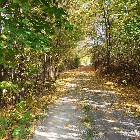 Kulibaba Apartament *