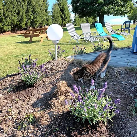 Kulibaba * Bystrzyca Kłodzka