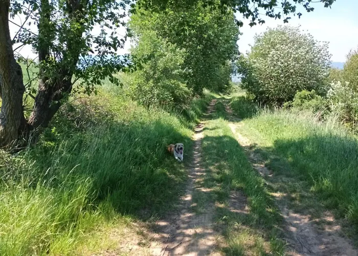 Kulibaba * Bystrzyca Kłodzka