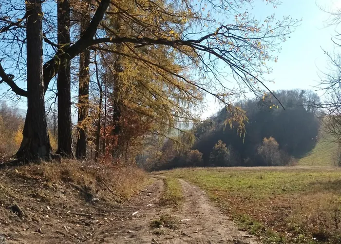 Kulibaba * Bystrzyca Klodzka