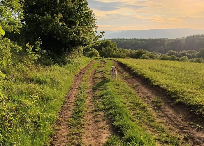 Kulibaba Bystrzyca Klodzka