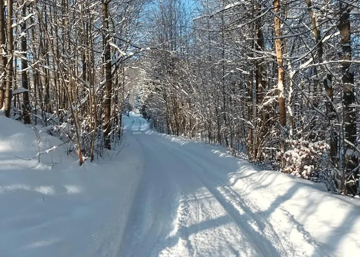 Kulibaba * Bystrzyca Klodzka