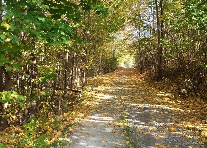 Kulibaba Apartment *