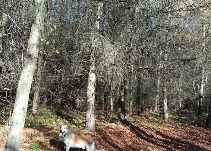 Kulibaba Appartamento Bystrzyca Kłodzka