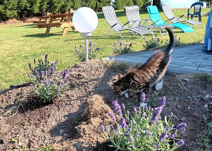 Kulibaba * Bystrzyca Klodzka